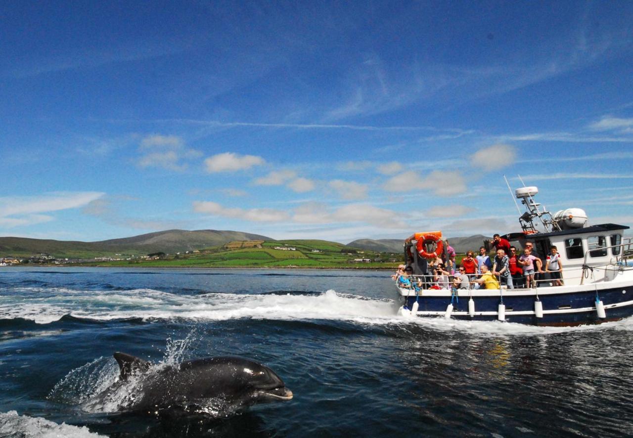 Dingle Harbour Cottages 3 Bed Sleeps 7 By Trident Holiday Homes 外观 照片
