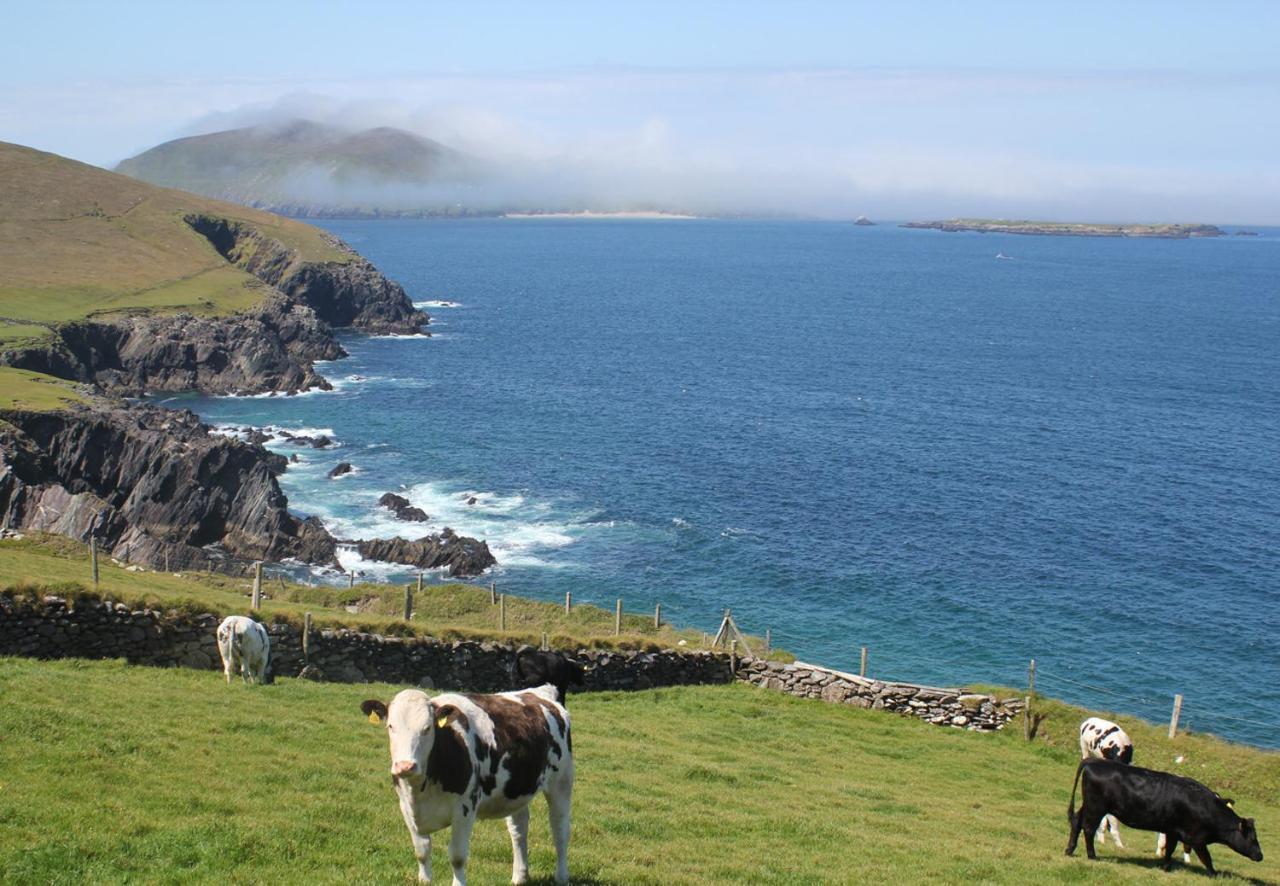 Dingle Harbour Cottages 3 Bed Sleeps 7 By Trident Holiday Homes 外观 照片