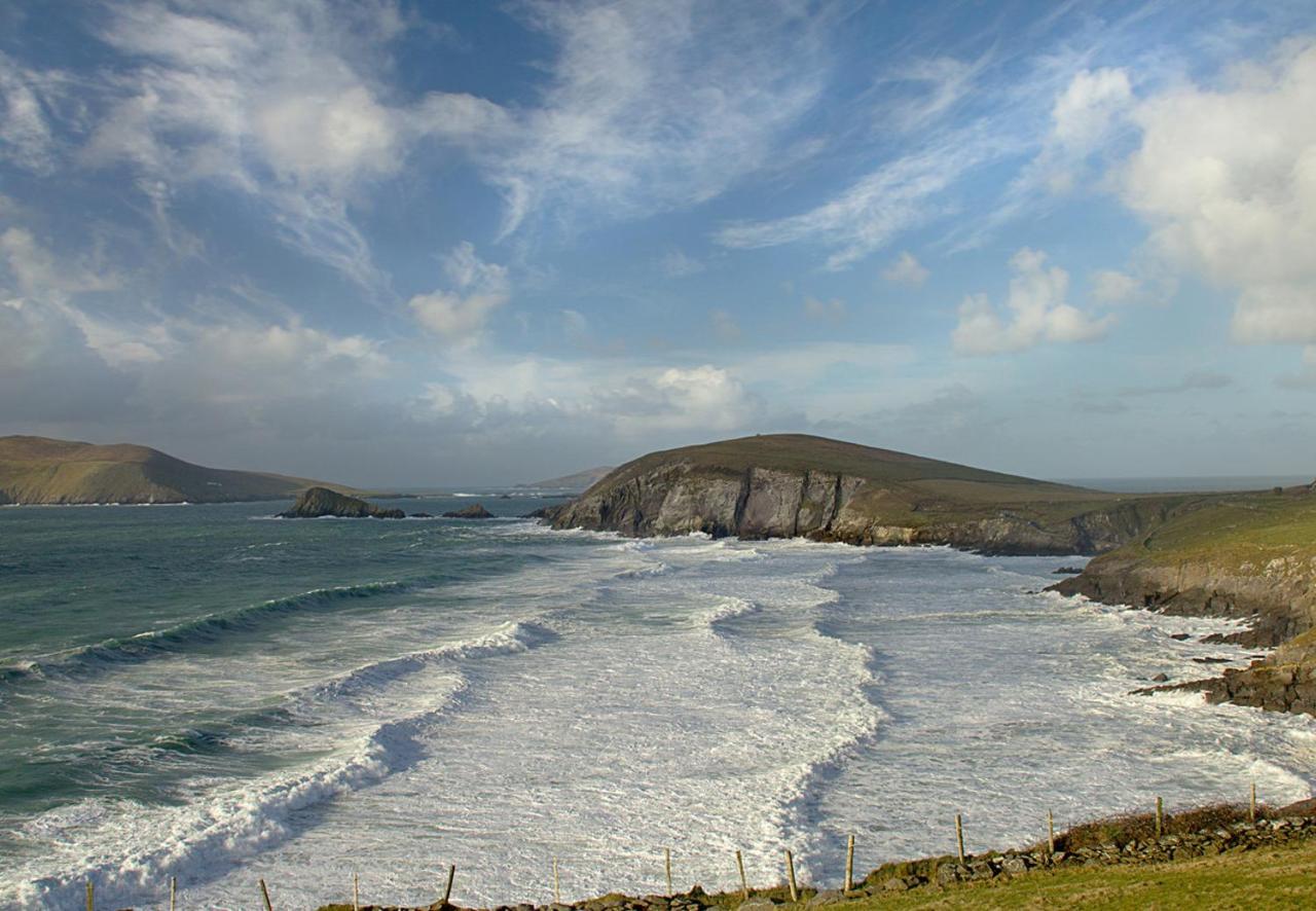 Dingle Harbour Cottages 3 Bed Sleeps 7 By Trident Holiday Homes 外观 照片